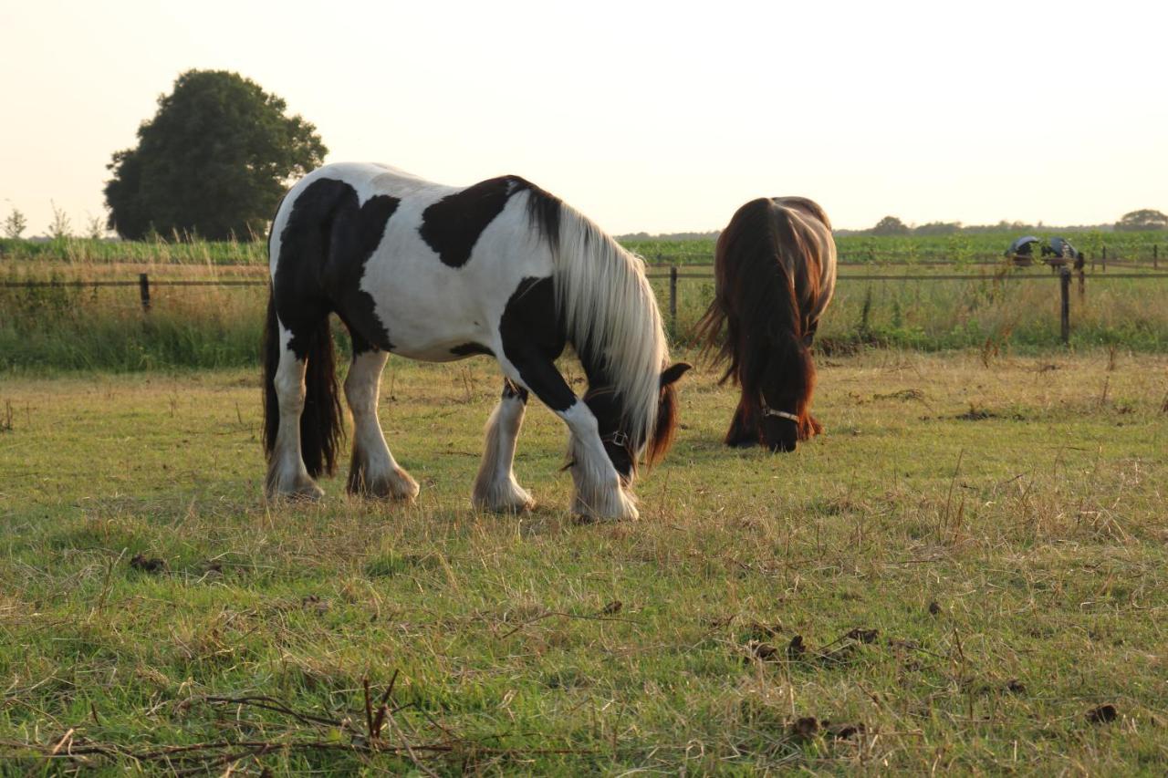 Hotel Slapen Tussen De Paarden à Essen Extérieur photo