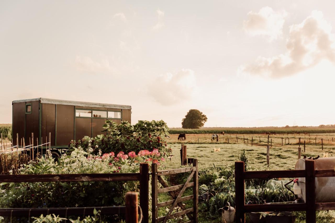 Hotel Slapen Tussen De Paarden à Essen Extérieur photo